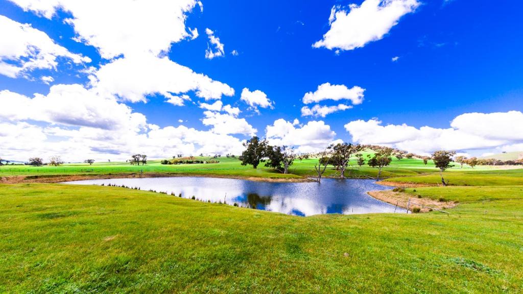 Cootamundra-Gundagai Regional Council House | Hillview Farmstay