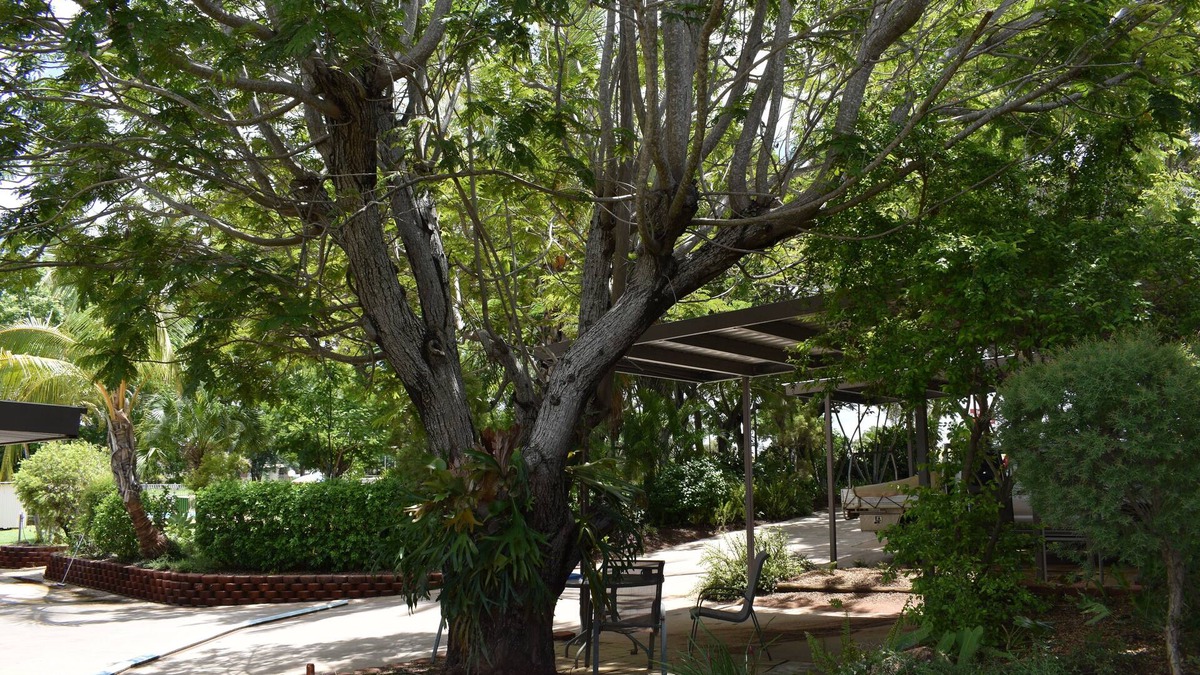 Richmond Hill Hotel | Hillview Motel