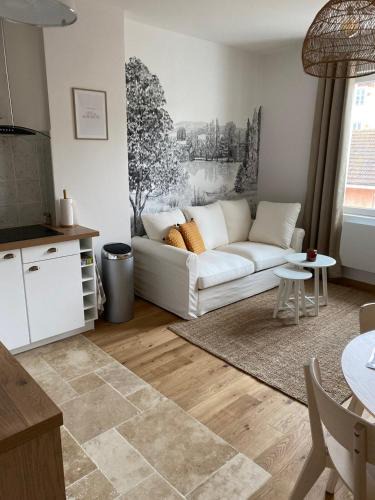 Saint-Laurent-sur-Saone Apartment | Hilo Charming Appartment Saint Laurent Sur Sane
