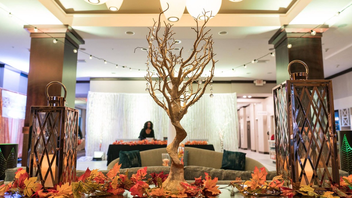Shirlington Hotel | Hilton Garden Inn Arlington-Shirlington