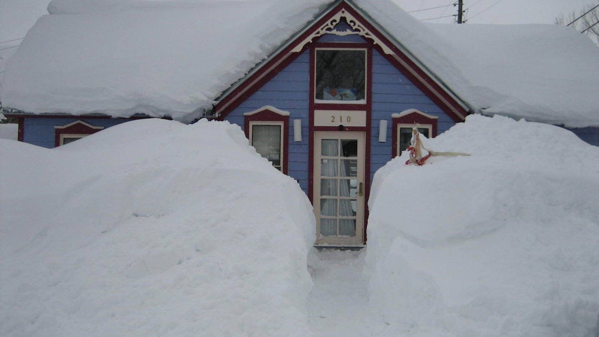 Crested Butte Cottage | Historic Cabin In The Heart Of Downtown Crested Butte. licence # 001140