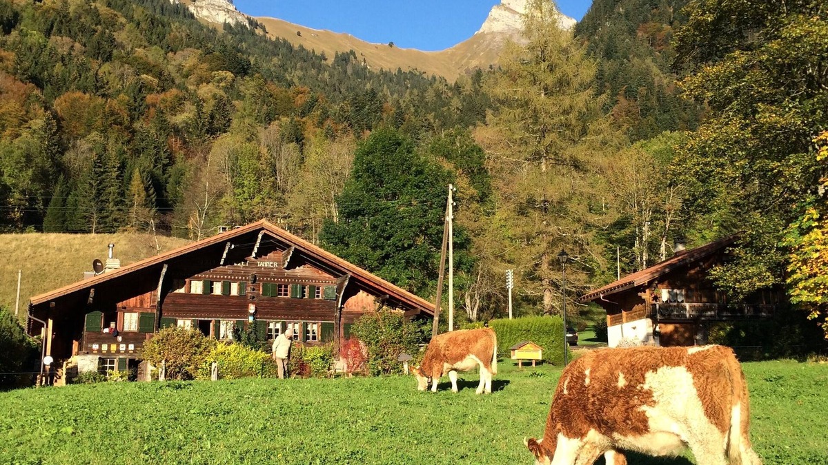 Les Plans-sur-Bex Ski Chalet | Historic chalet from 1714 in Plans-sur-Bex, Gryon-Villars-Les Diablerets