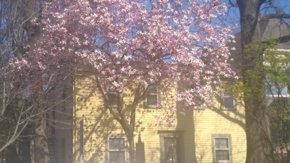 Licking Riverside Apartment | Historic Clayton-Bullock Schoolhouse Near Downtown Cincinnati!