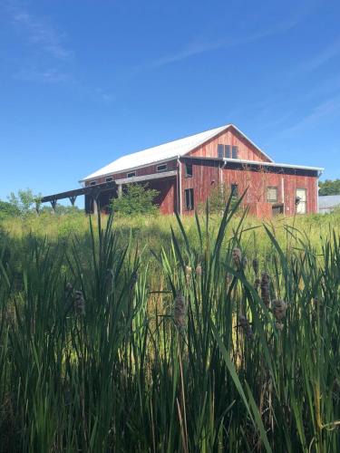 Bloomington Apartment | Historic Converted Barn Loft at Sobremesa Farm