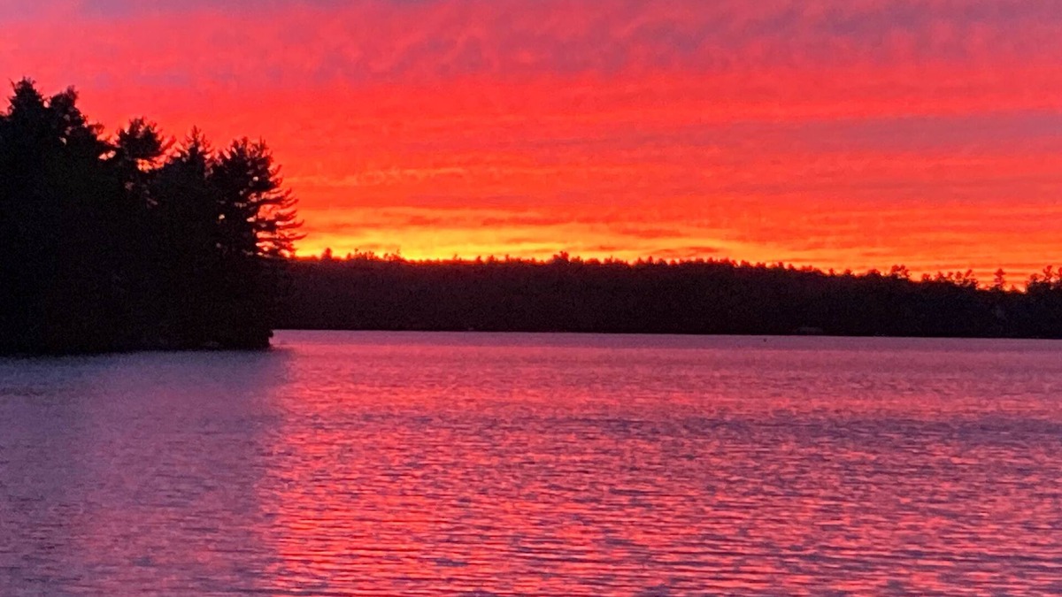 Franklin Cabin | Historic , cozy 2 bedroom original cabin at the waters edge in Franklin ME