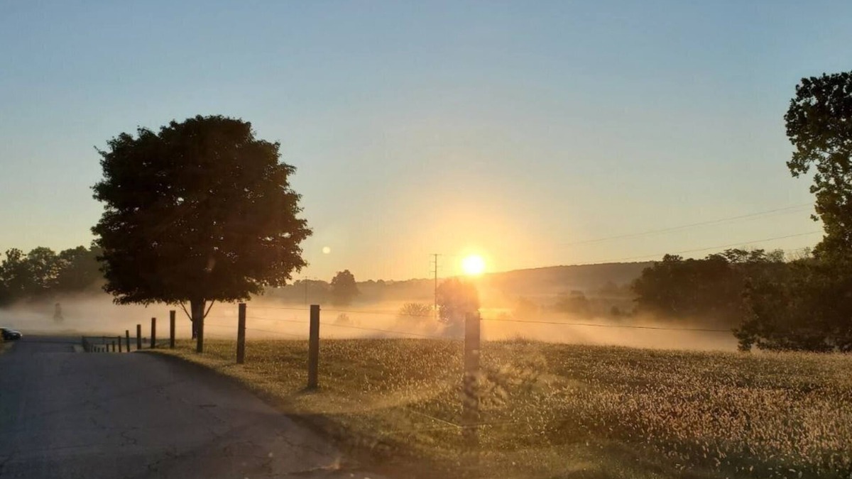 Ephrata Other | Historic Farmhouse on 44 acres with chickens, sheep and a steer.