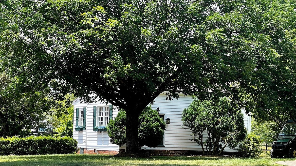 Cobham Cottage | Historic, Quaint Bungalow #157 Pool & Spa