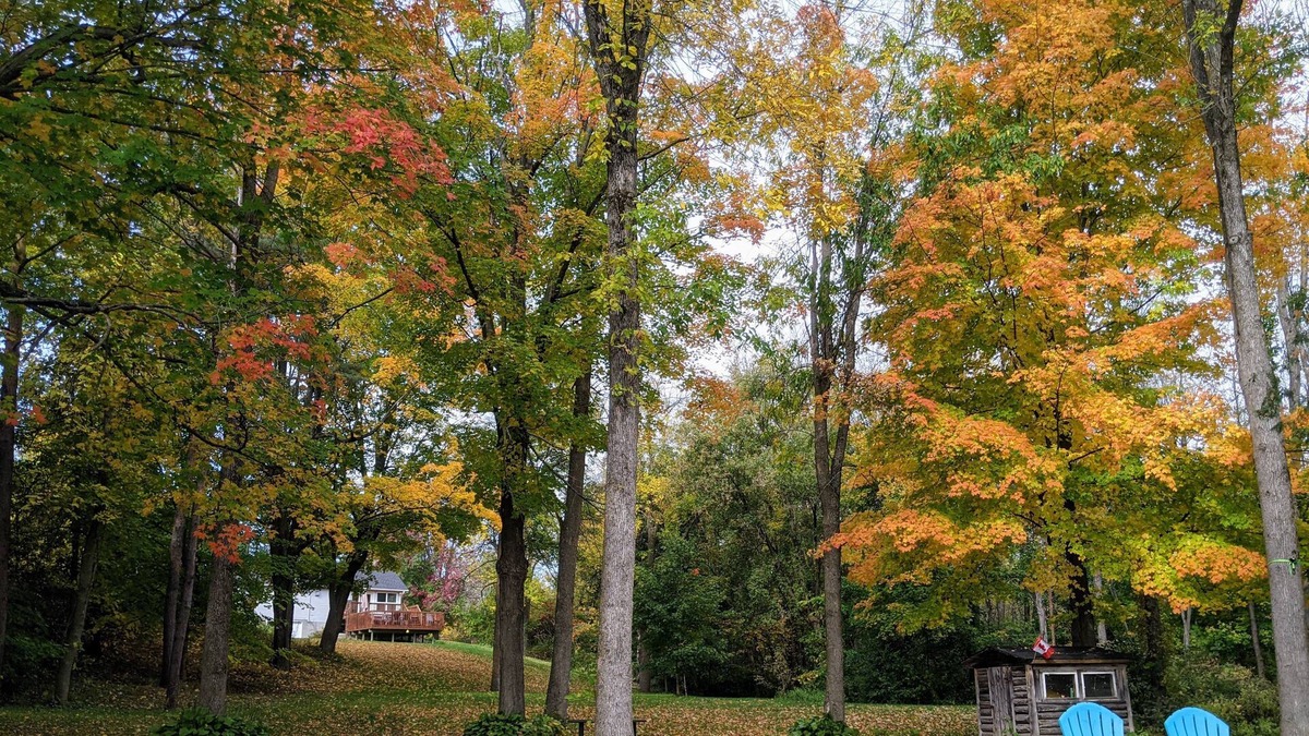 Montague Cottage | Historic Rideau Canal Cottage by the Locks (Nest by the Locks)