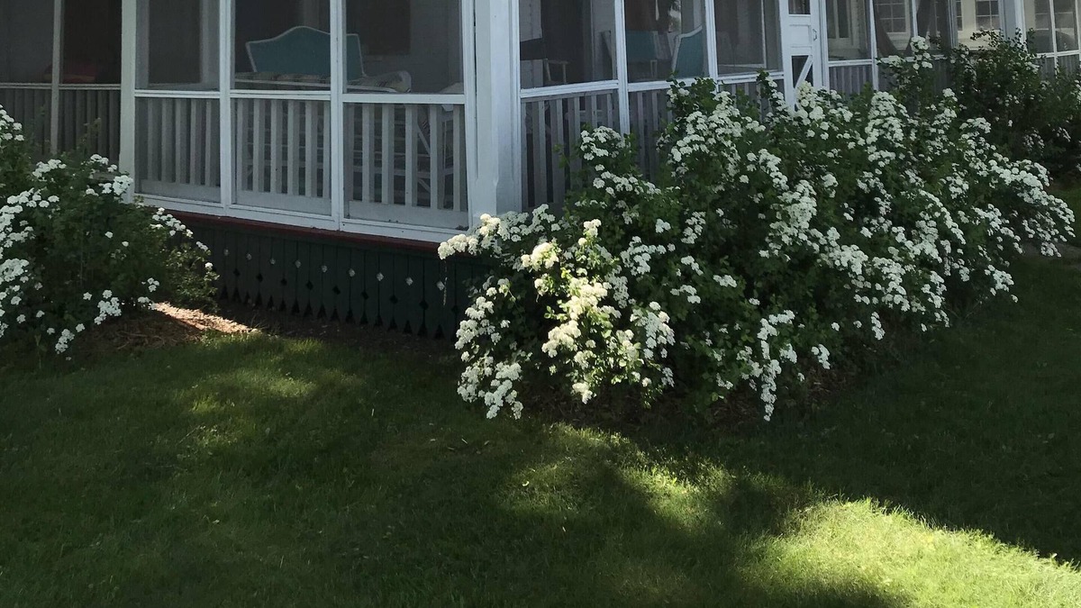 Culver Cottage | Historic Summer Home on Beautiful Lake Maxinkuckee East Shore