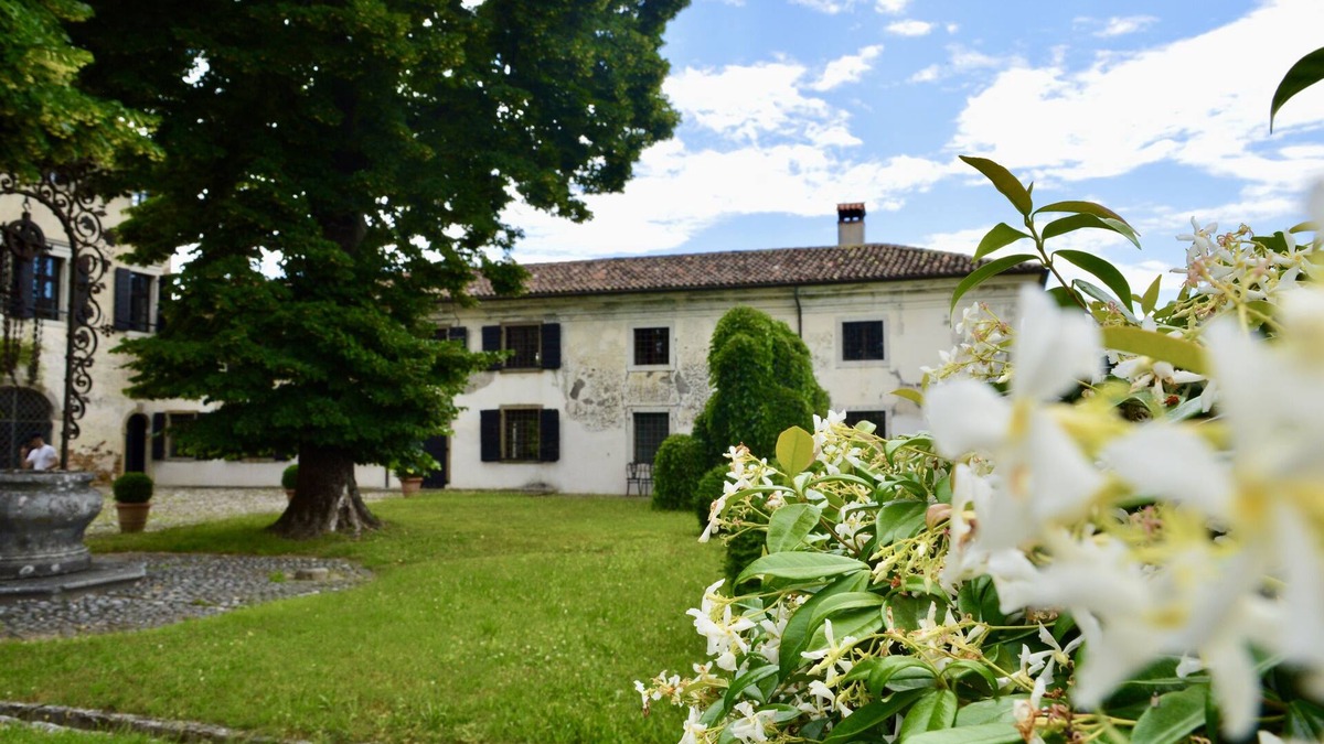 Buttrio Villa | Historic villa surrounded by vineyards