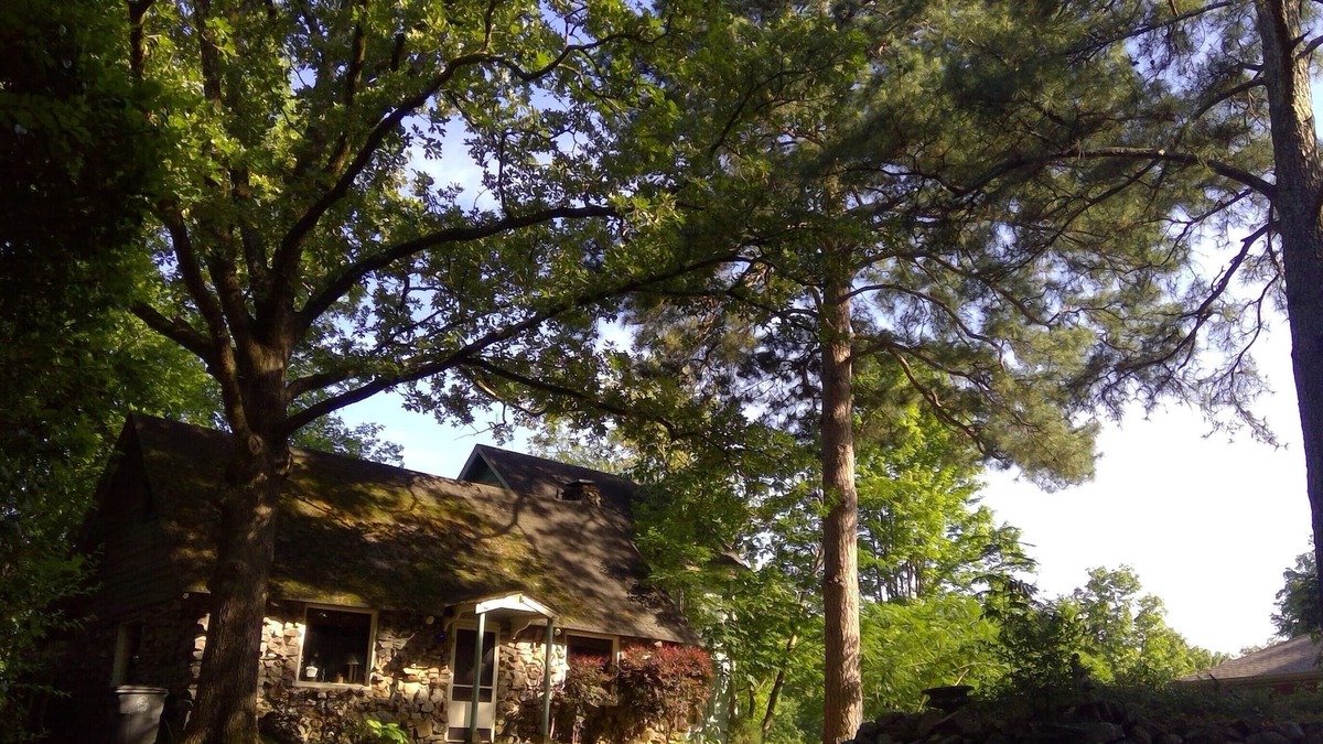 Mid America House | Historical Lakefront Cabin Just 8 Minutes to Oaklawn Track/Casino