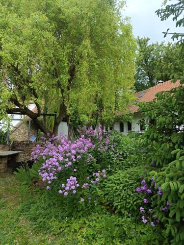 Podbranc House | Historický objekt Ailit