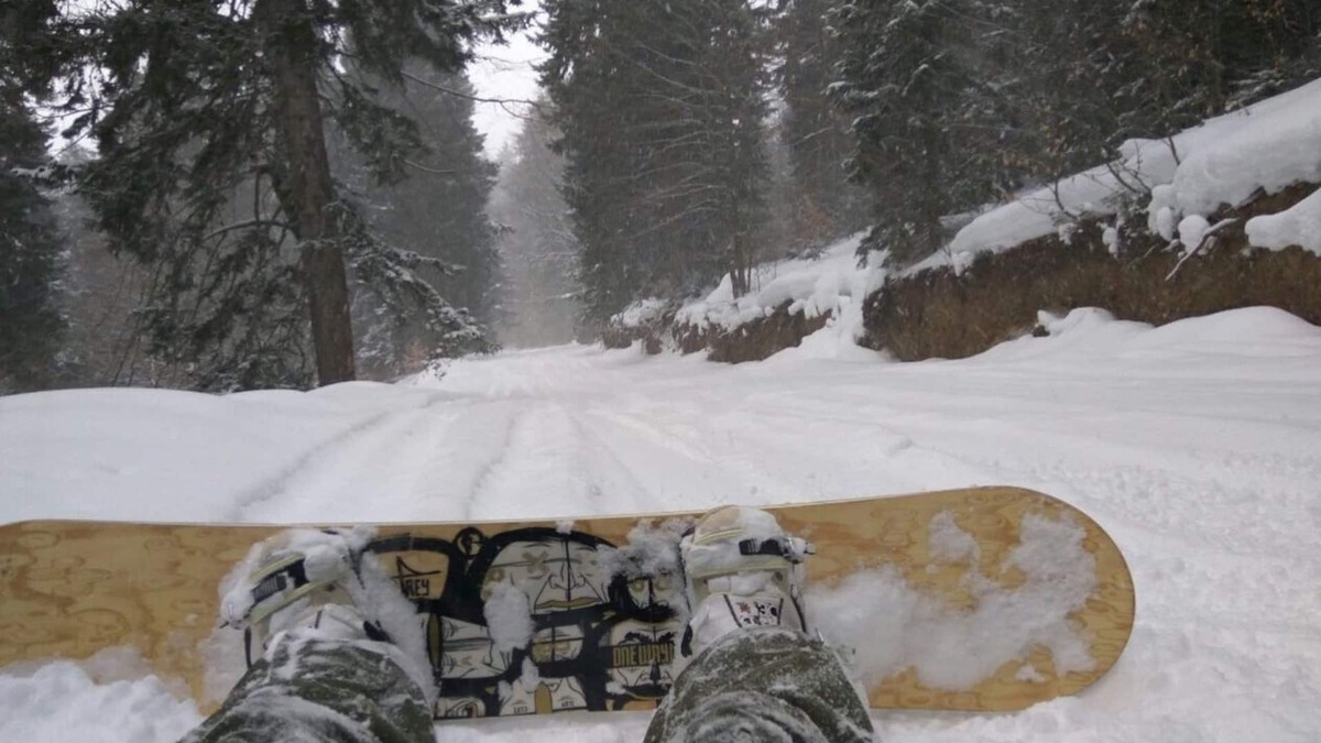 Bakuriani Hotel | Hit the snow! Bakuriani)