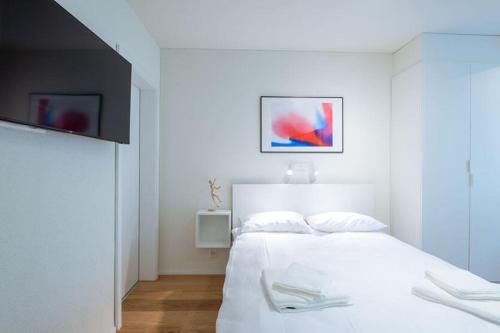 Hirslanden Apartment | HITrental Riesbach Apartments