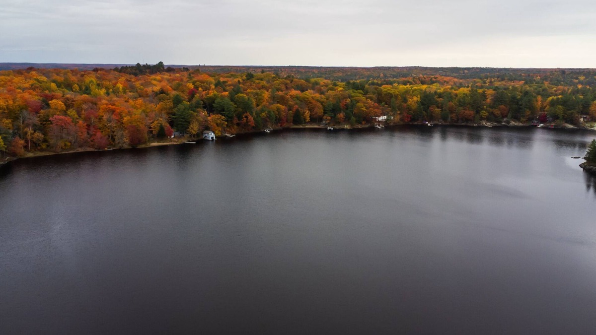 Muskoka Lakes Cottage | HK'S Hidden Haven! (Muskoka Lake Cottages#2)