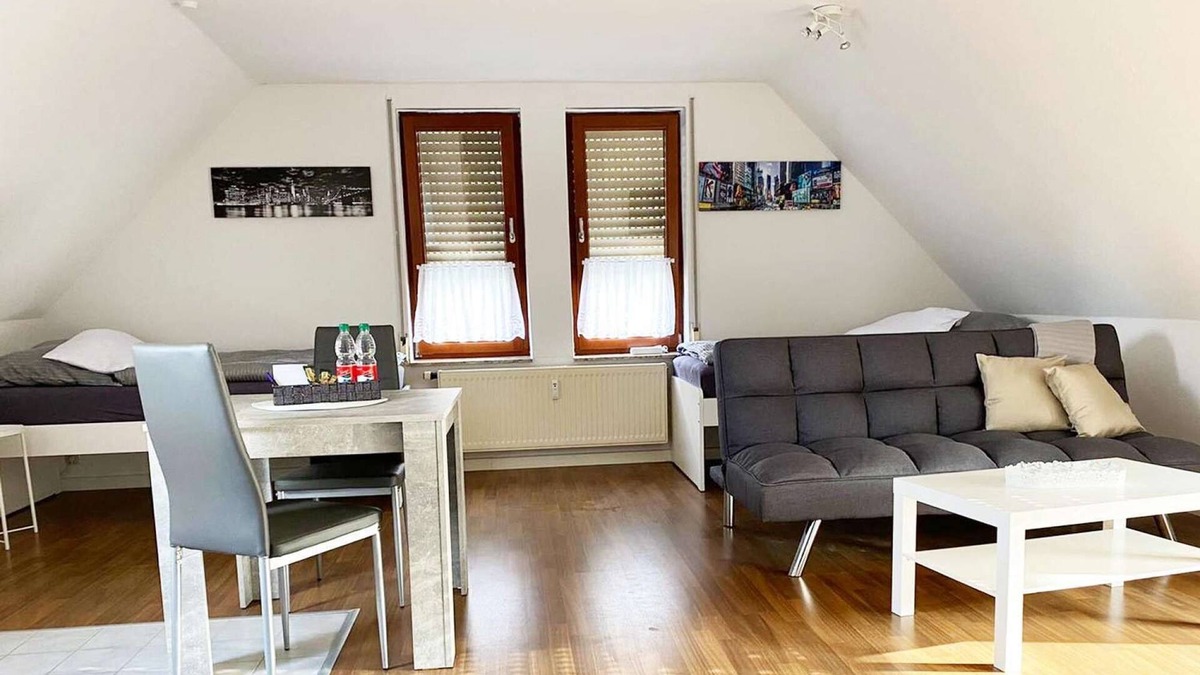 Niederlungwitz Apartment | HÖ01 large apartment with dryer and washing machine
