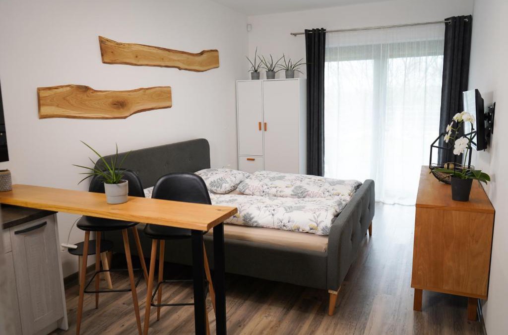 Cheb Apartment | Hofmann Apartment