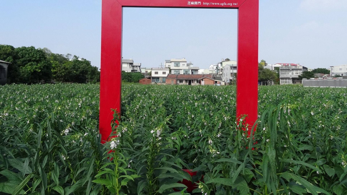 Tainan House | Hoin4