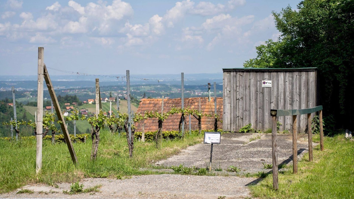 Sankt Stefan ob Stainz House | Holiday apartment St. Stefan ob Stainz for 1 - 2 persons with 1 bedroom - Holiday house