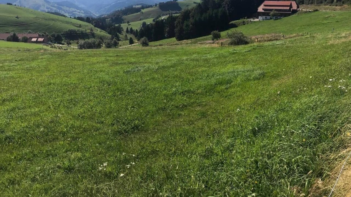 Marzell Apartment | Holiday apartment Malsburg-Marzell for 4 - 6 persons with 2 bedrooms - Holiday apartment