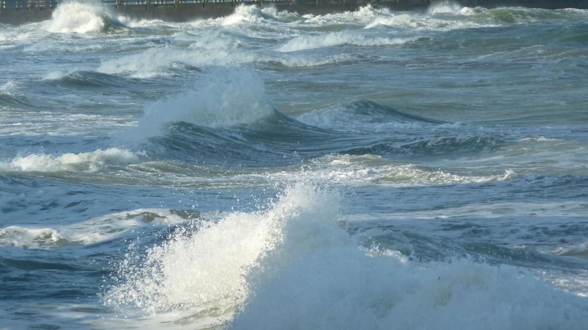 Grandcamp-Maisy Apartment | Holiday apartment by the sea Normandy coast port of Grandcamp Maisy
