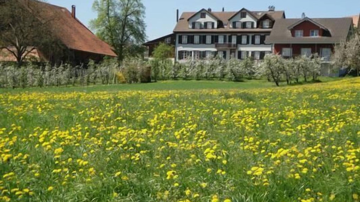 Erlen Apartment | Holiday apartment Kümmertshausen for 4 - 8 persons with 3 bedrooms - Holiday apartment in a farmhous