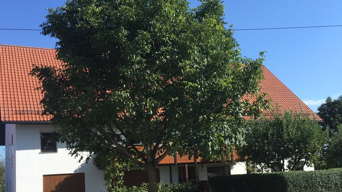 Tannheim Apartment | Holiday Apartment Andrea