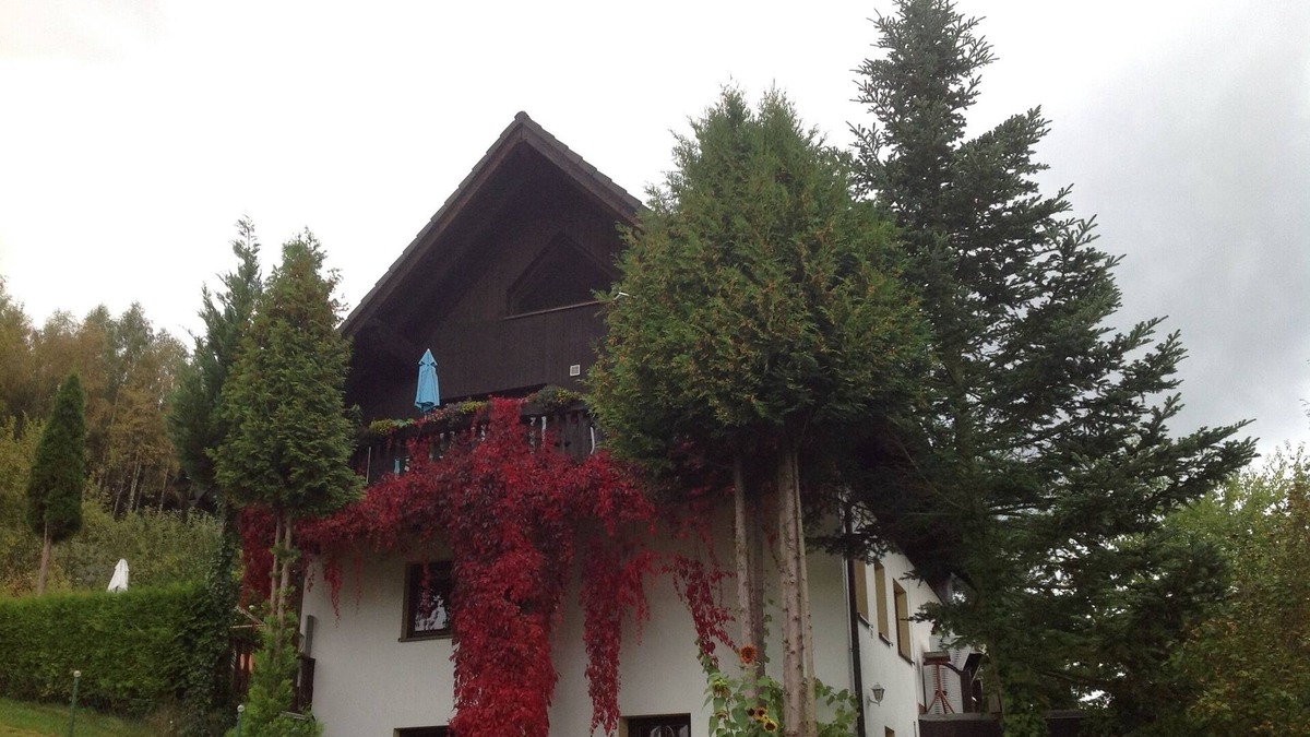 Tannenberg Apartment | holiday apartment/apt. for 3 guests with 40m² in Tannenberg (162086)