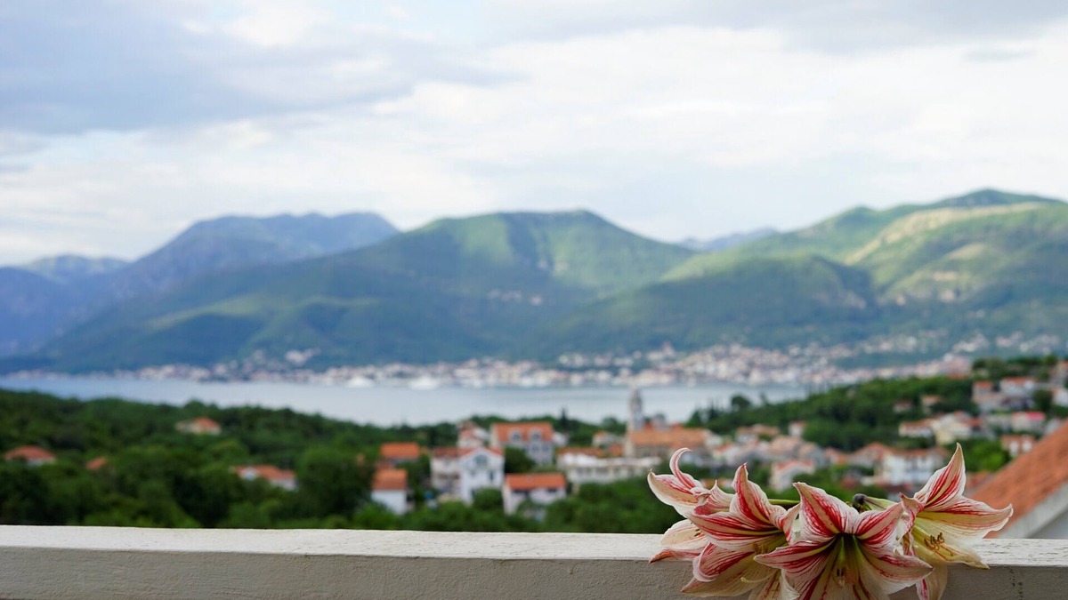Radovici Apartment | Holiday apartment Boka with the breathtaking seaview Montenegro