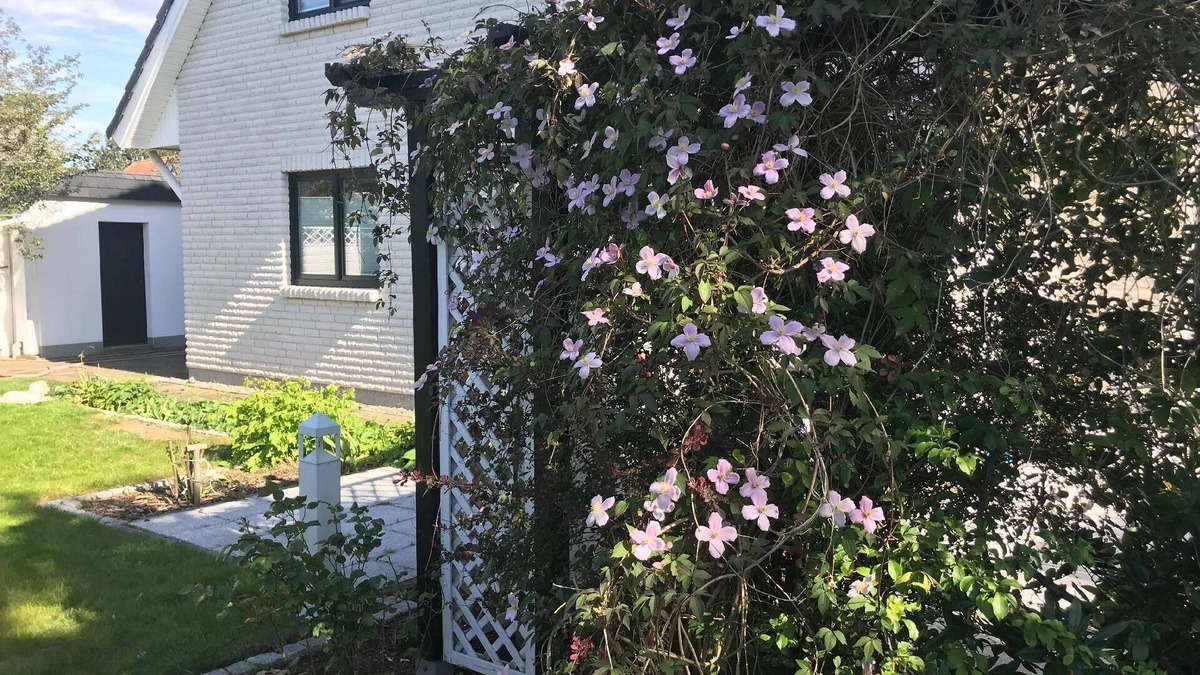 Fetten-Vorstadt Apartment | Holiday apartment Hinrichshagen for 1 - 4 persons with 1 bedroom - Holiday apartment