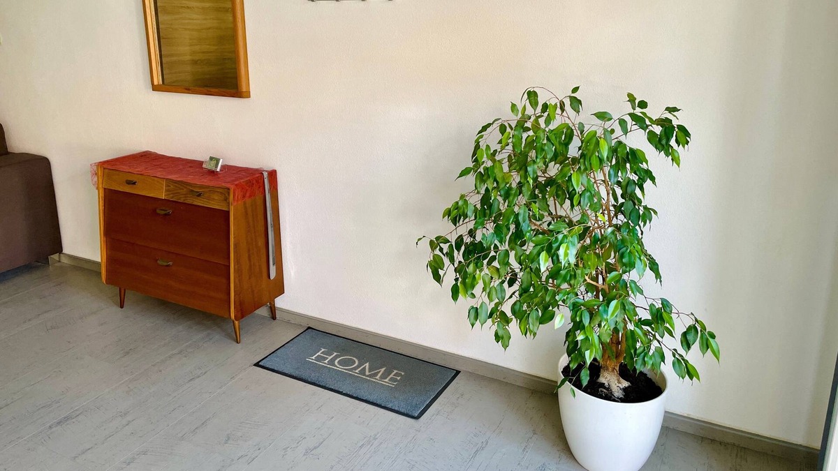 Wittighausen Apartment | holiday apartment/apt. for 4 guests with 58m² in Wittighausen (173590)