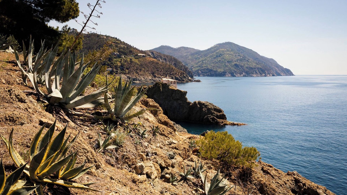 Bonassola Apartment | Holiday Apartment "Dependance Del Paradiso" with Private Garden and Wi-Fi