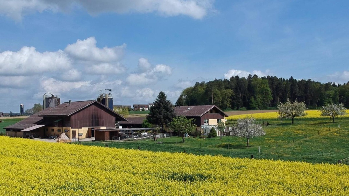 Dinhard Other | Holiday apartment Dinhard for 1 - 5 persons with 1 bedroom - Farmhouse