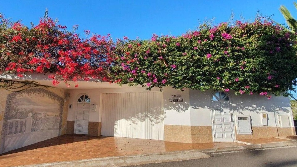 Sauzal House | Holiday apartment El Sauzal for 1 - 2 persons with 1 bedroom - Holiday house