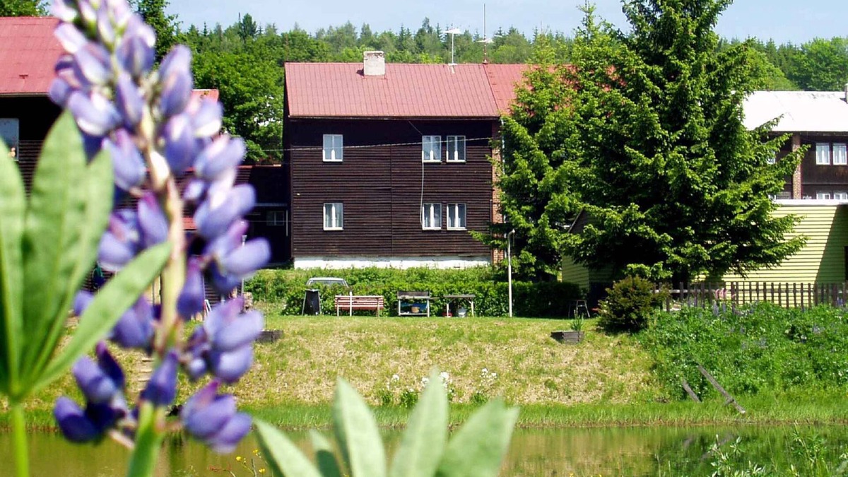 Marianska Apartment | Holiday apartment in Erzgebirge with possibility of apitherapy