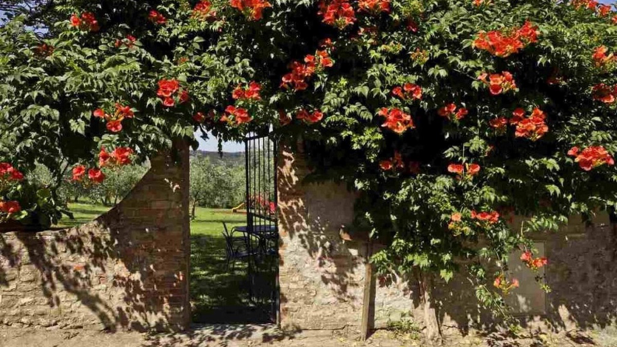 San Donato a Livizzano Other | Holiday apartment Montespertoli for 1 - 4 persons with 2 bedrooms - Farmhouse