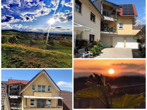 Jechtingen House | Holiday apartment Kromer