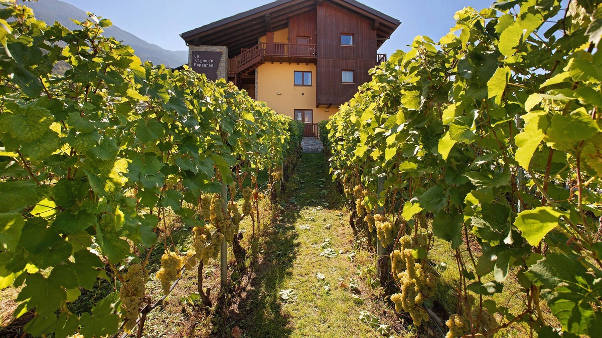 Pont Suaz Apartment | Holiday Apartment "La Vigne De Papagran 7" with Mountain View, Shared Garden & Wi-Fi