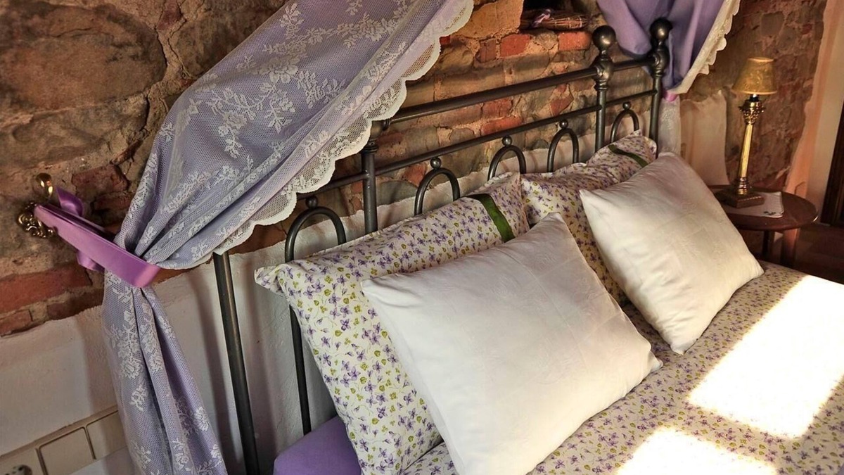 Moncioni Other | Holiday apartment Montevarchi for 1 - 2 persons with 1 bedroom - Farmhouse