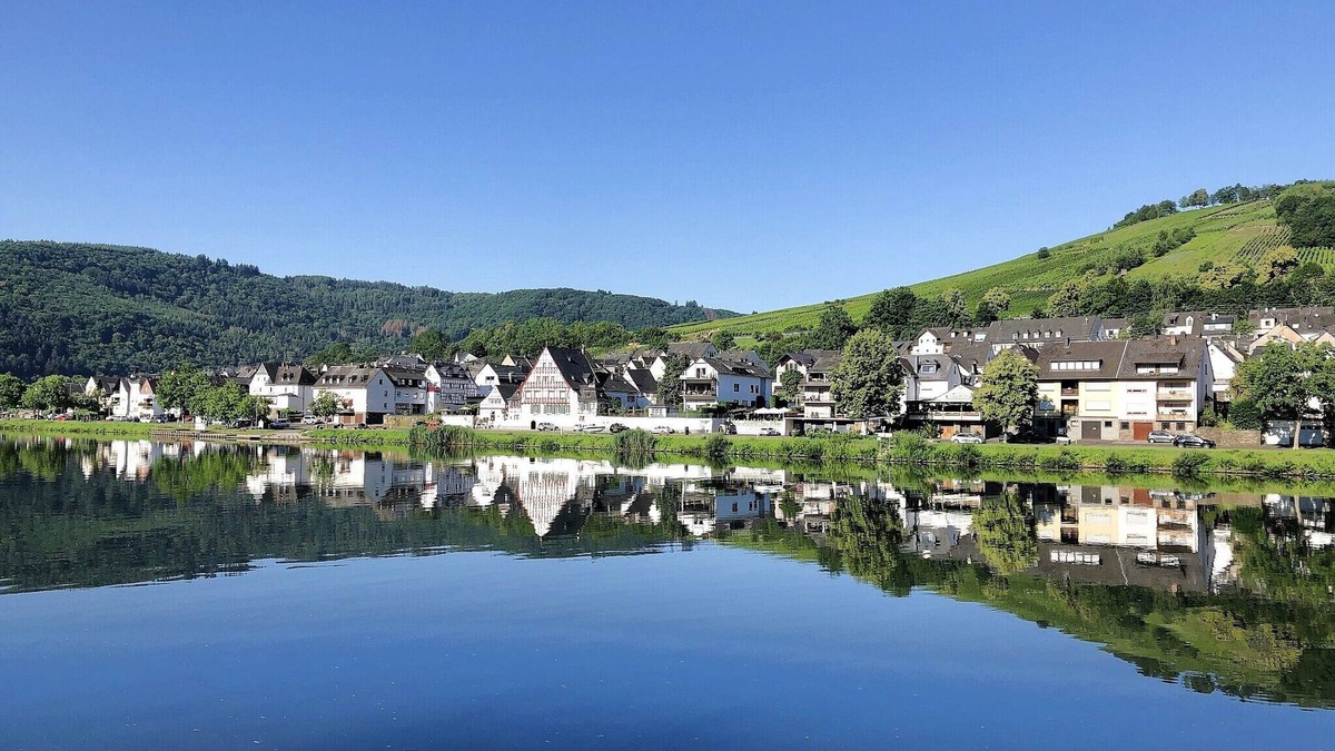 Kaimt Apartment | Holiday apartment Mosel Vineyard - Modern, comfortable and friendly