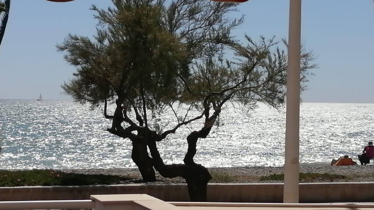 El Grau de Moncofa Apartment | Holiday apartment Moncofa for 1 - 4 persons with 2 bedrooms - Holiday apartment in one or multi-fami