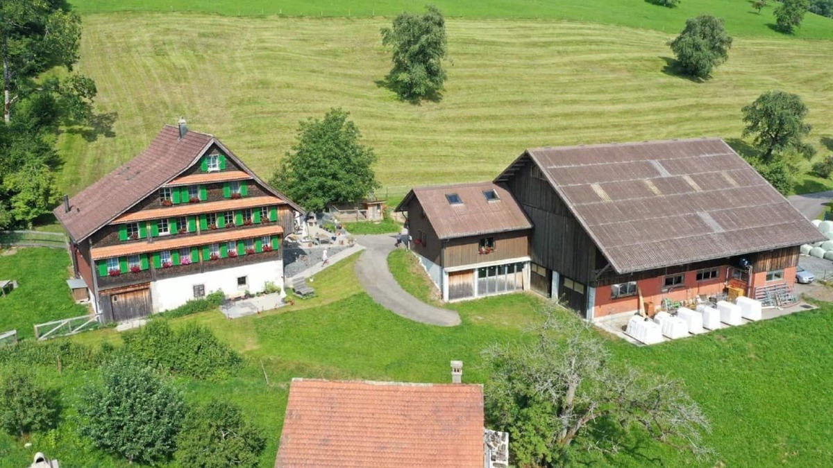 Oberaegeri Other | Holiday apartment Oberägeri for 1 - 6 persons with 2 bedrooms - Farmhouse