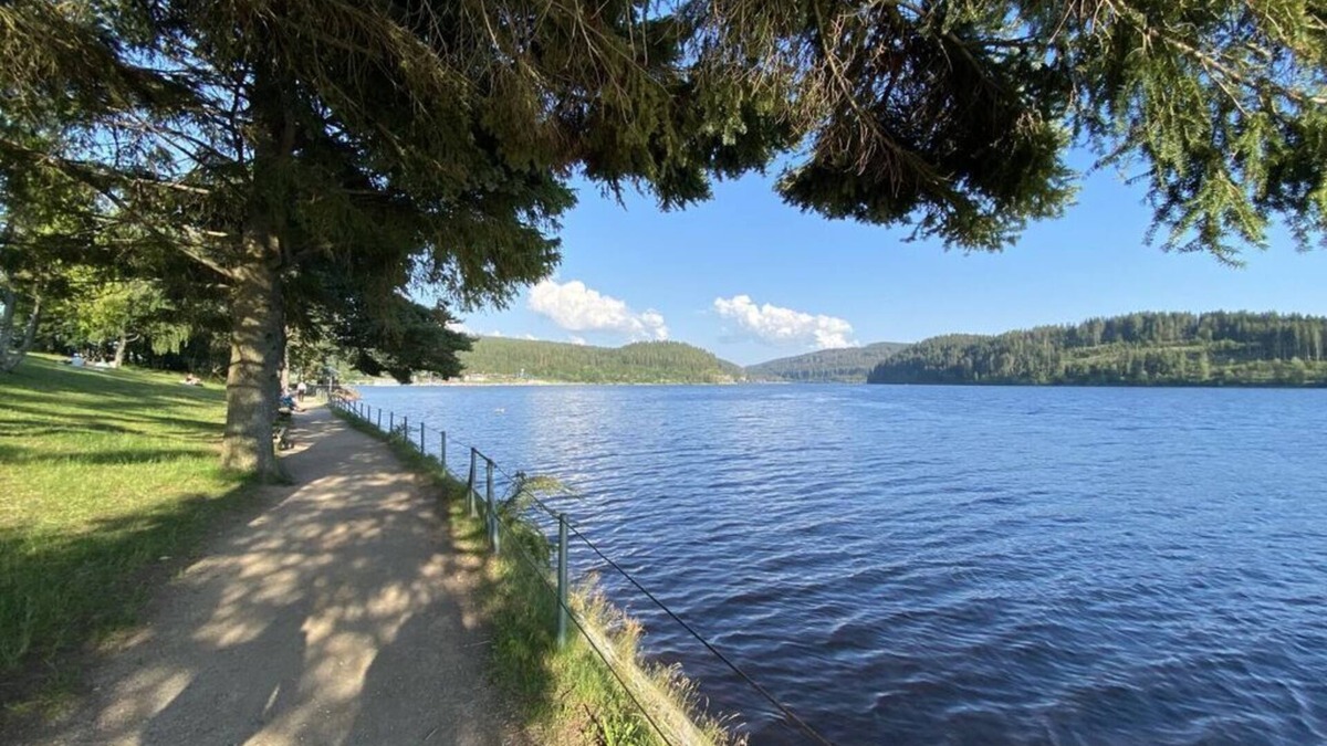 Bonndorf Apartment | Holiday apartment Staffe