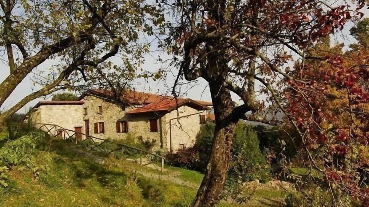 Maissana Other | Holiday apartment Tavarone for 2 - 4 persons with 1 bedroom - Farmhouse