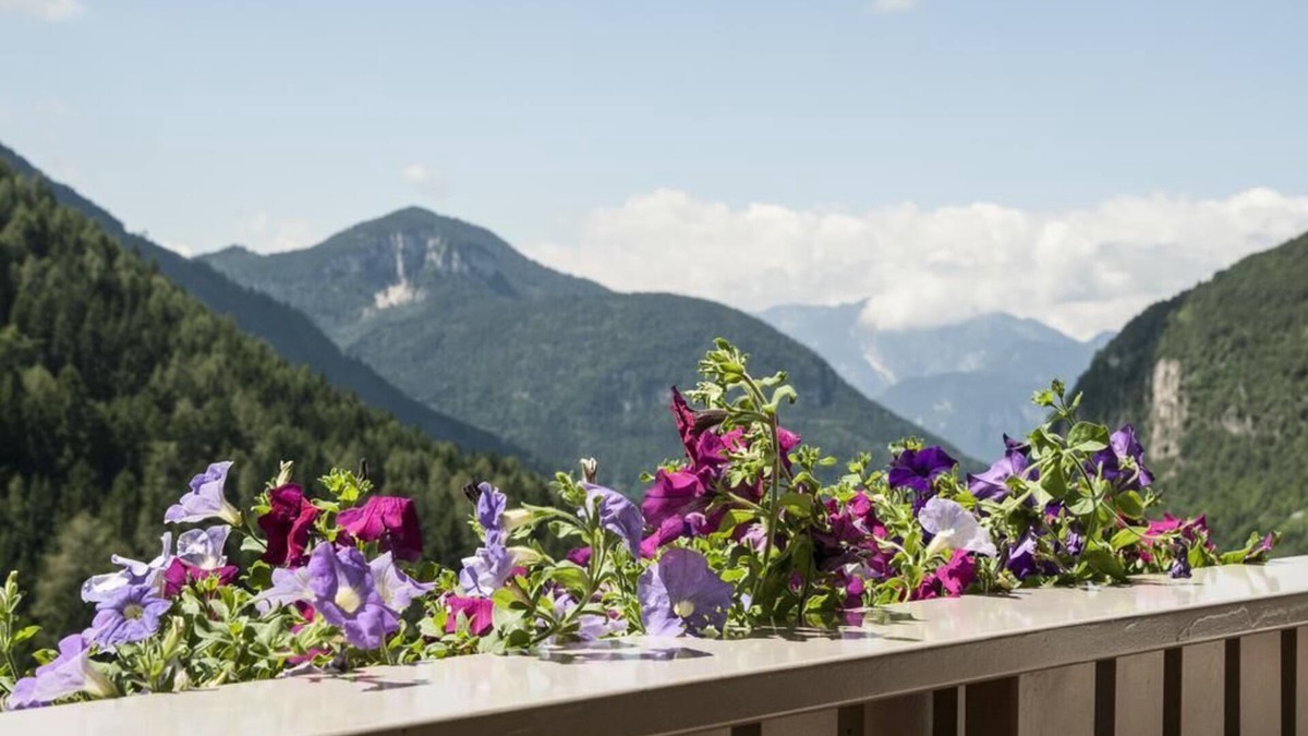 Trodena Apartment | Holiday Apartment "Wiesenheim - Cislon"