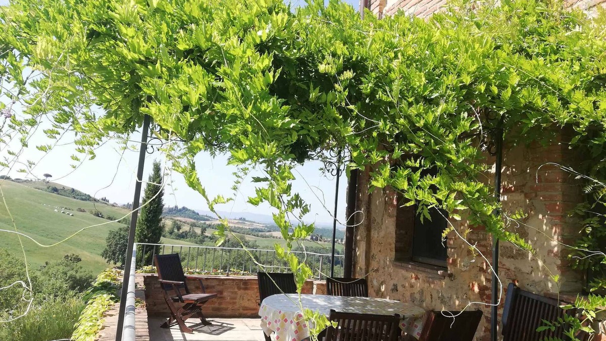 Asciano Apartment | Holiday apartment with swimming pool and patio