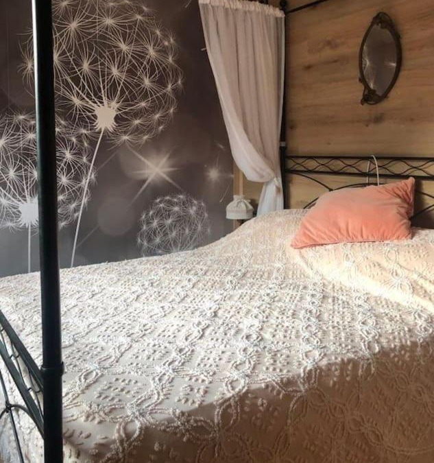 Fielis House | Holiday Guesthouse La Casina di Butzi pet friendly - Terme di Arta - Zoncolan