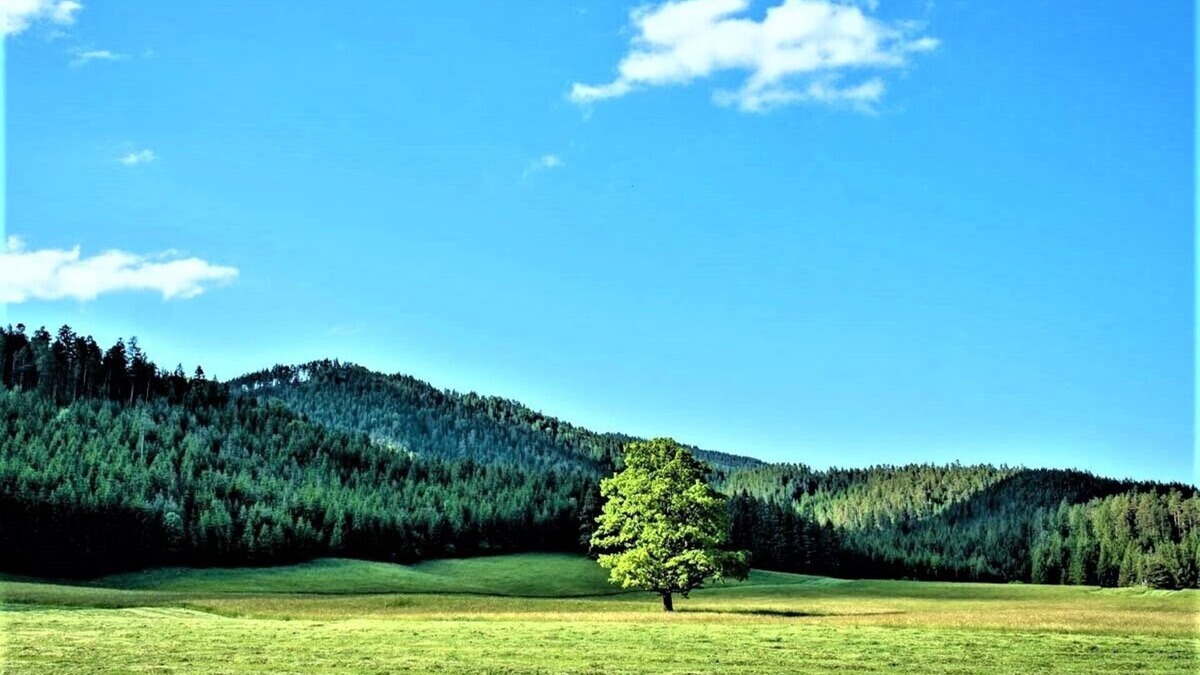 Schwarzau im Gebirge House | Holiday house Höblinghof