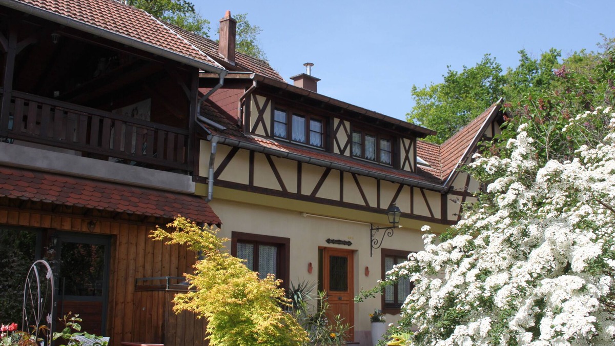 Nothalten House | Holiday Home 3* in Alsace, quiet 15 mm from tourist sites, ideal for families