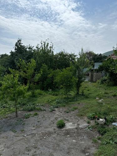 Sheki Apartment | Holiday home